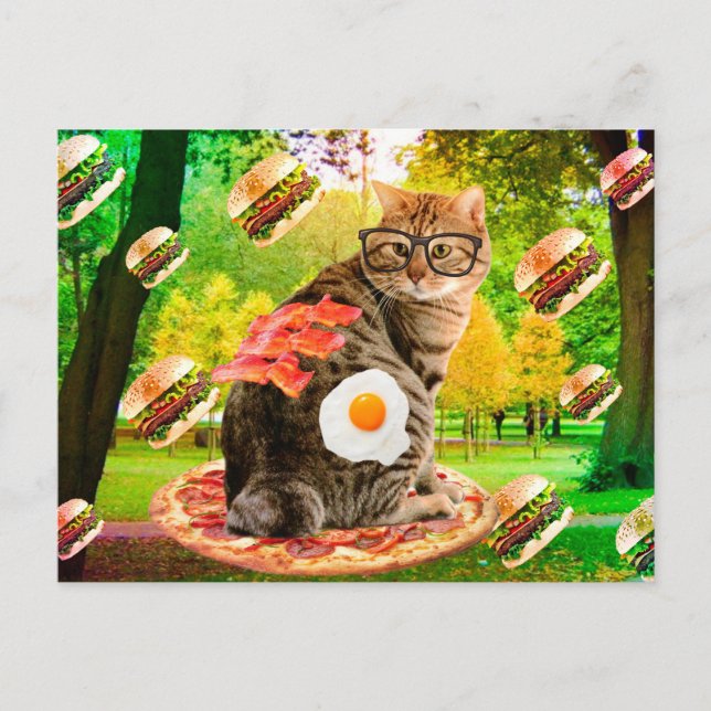 Cartão Postal Gato com óculos e comida rápida (Frente)