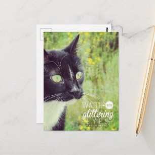 Cartão Postal Gato com Olhos Brilhantes