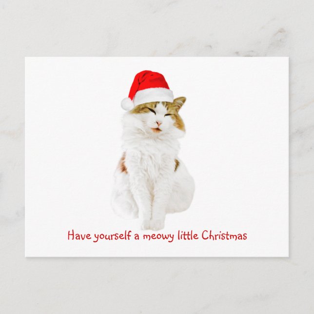 Cartão Postal Gato com Papai noel (Frente)