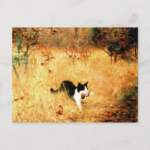 Cartão Postal Gato com Pássaro na Boca