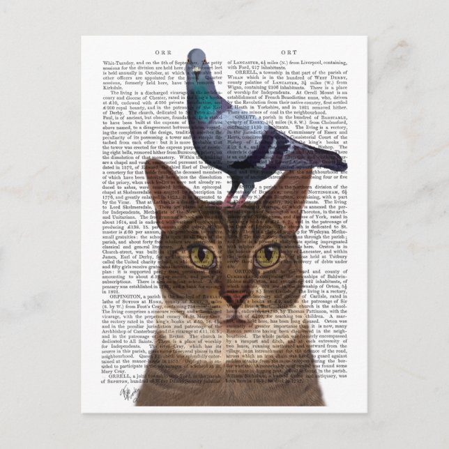Cartão Postal Gato com Pombo na Cabeça (Frente)
