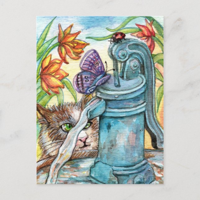 Cartão Postal Gato Curioso (Frente)