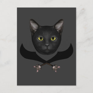 Cartão Postal Gato da Bandeira Pirata