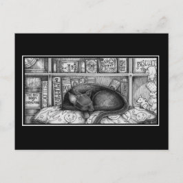 Cartão Postal Gato da Biblioteca Vitoriana