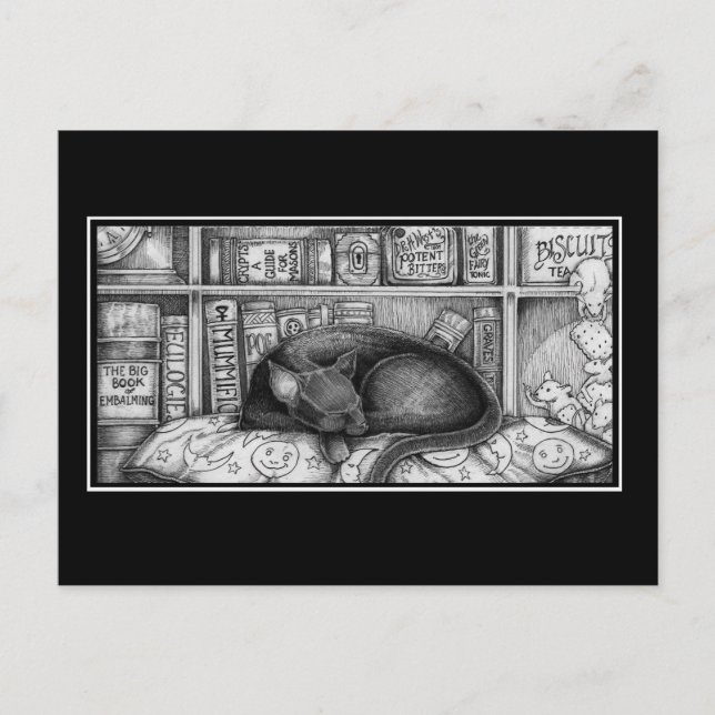 Cartão Postal Gato da Biblioteca Vitoriana (Frente)