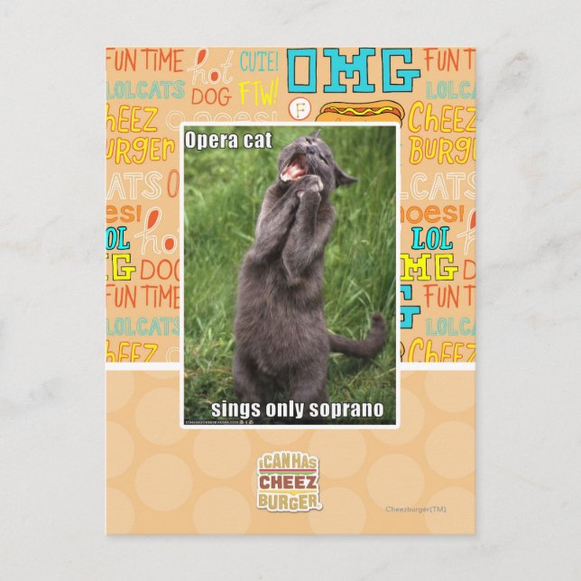 Cartão Postal Gato da ópera (Frente)
