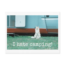 Gato de Acampamento