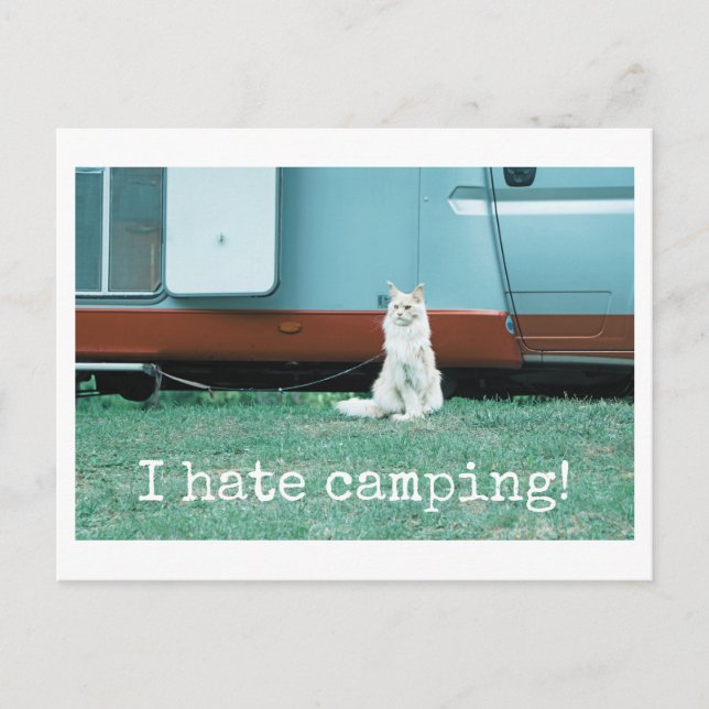 Cartão Postal Gato de Acampamento (Frente)