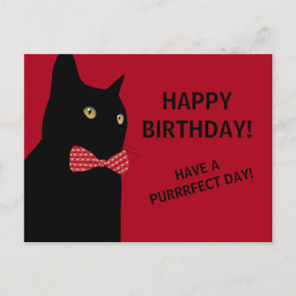 Cartão Postal Gato de Aniversário Feliz Preto com Arco Vermelho