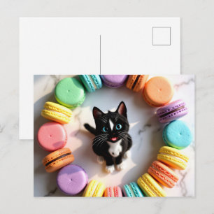 Cartão Postal Gato de Aniversário Fofo com Macarons Coloridos – 