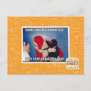 Cartão Postal Gato de Base recebe carvão