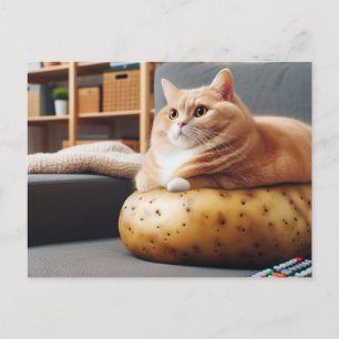Cartão Postal Gato de Batata Engraçado