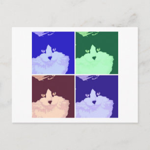 Cartão Postal Gato de Cabelo Negro e Branco