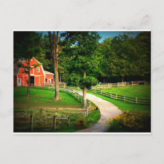 Cartão Postal Gato de casa da fazenda na jarda de celeiro