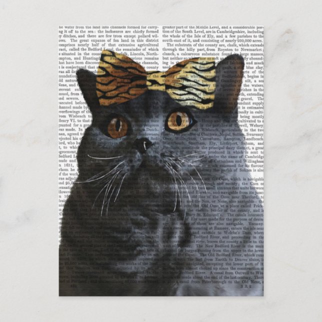 Cartão Postal Gato de cinza com Arco-leopardo (Frente)