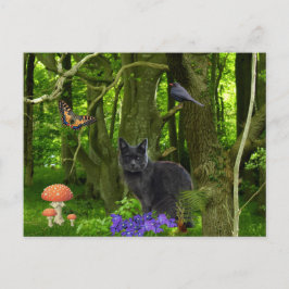 Cartão Postal Gato de cinza na Floresta
