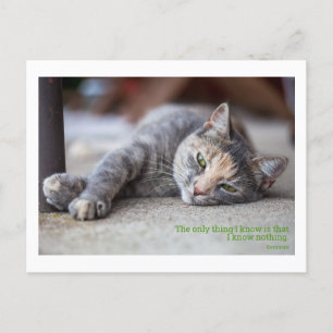 Cartão Postal gato de citação filosófica