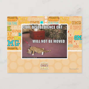 Cartão Postal Gato de Desobediência Civil