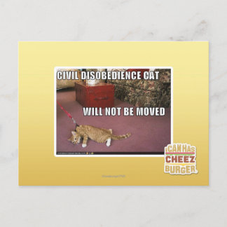 Cartão Postal Gato de Desobediência Civil