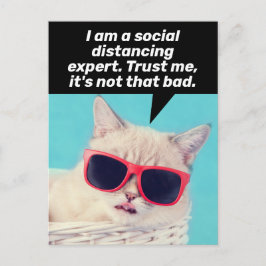 Cartão Postal Gato de Distância Social - Encorajamento e Combina