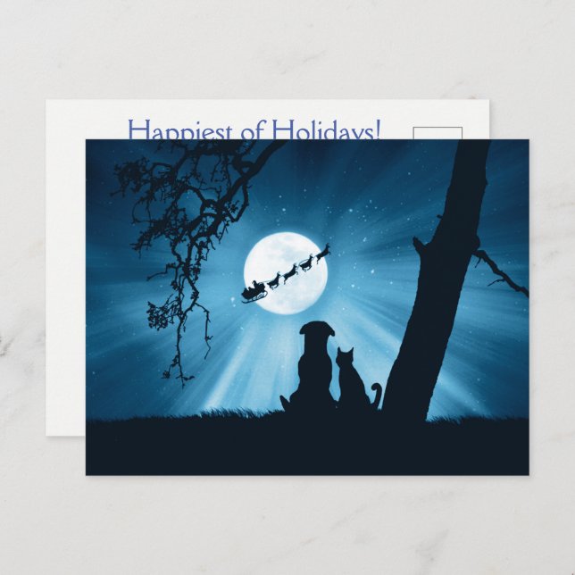 Cartão Postal Gato de Férias Cachorro e Noel (Frente/Verso)