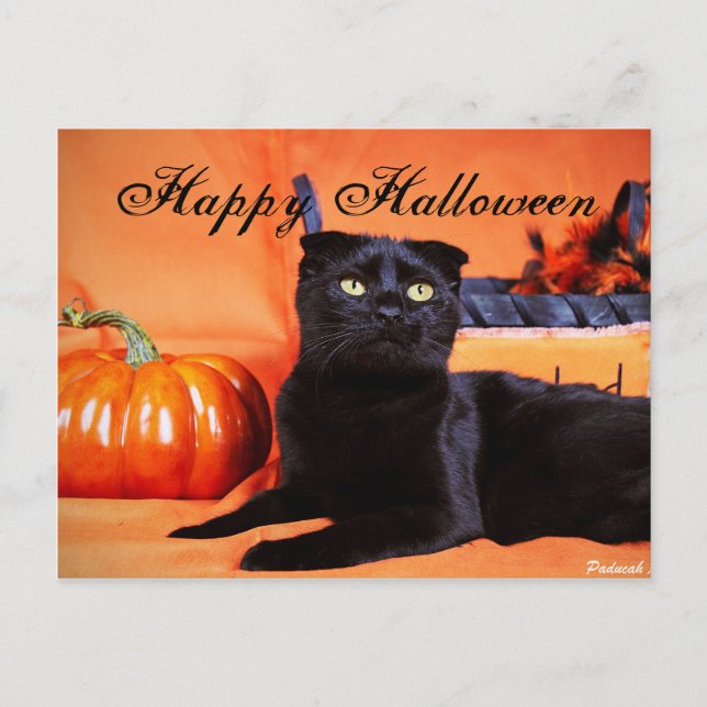 Cartão Postal Gato de Halloween (Frente)