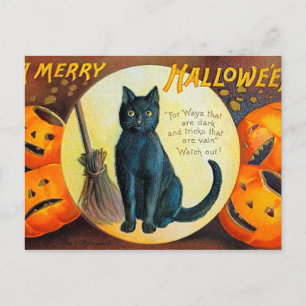 Cartão Postal Gato de Halloween de Feliz de outono