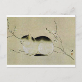Cartão Postal Gato de Hishida Shunso