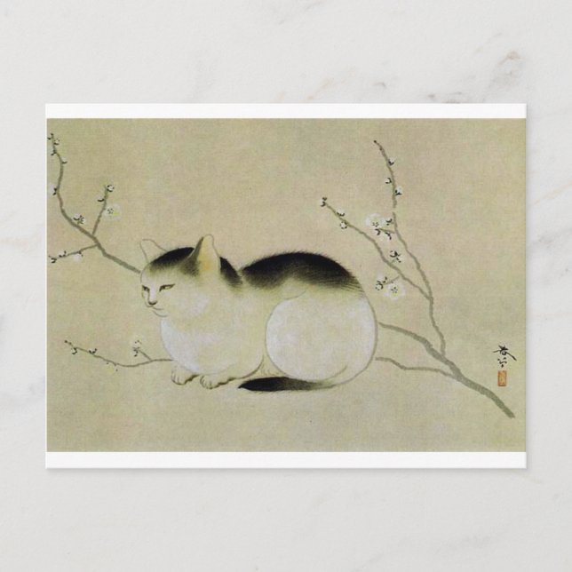 Cartão Postal Gato de Hishida Shunso (Frente)