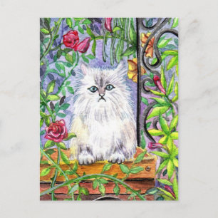 Cartão Postal Gato de Jardim