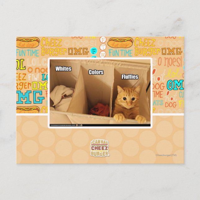 Cartão Postal Gato de lavanderia (Frente)