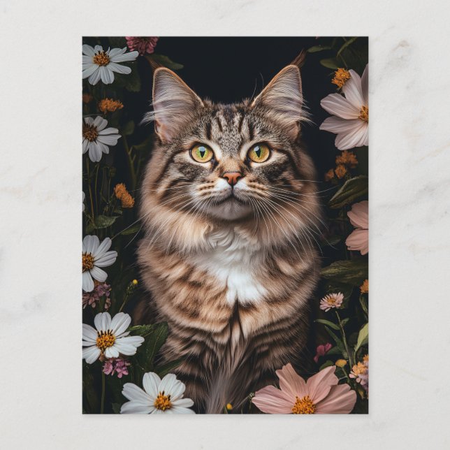 Cartão Postal Gato de Maine Coon cercado por flores (Frente)