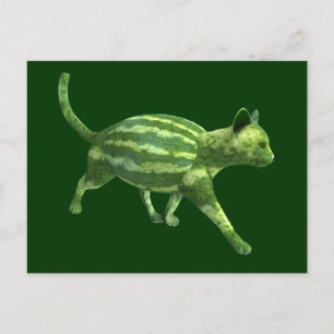 Cartão Postal Gato de Melões do Dia Nacional da Melancia