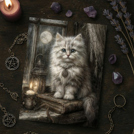 Cartão Postal Gato de Mystical Halloween Cute Tabby