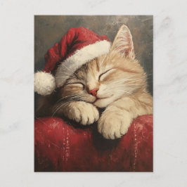 Cartão Postal Gato de Natal bonito e convencido em Santa Chapéu