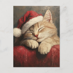 Cartão Postal Gato de Natal bonito e convencido em Santa Chapéu