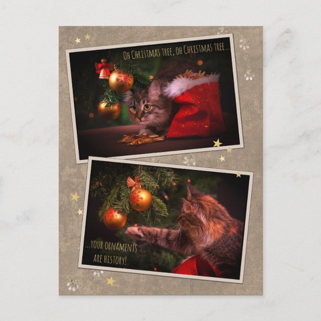 Cartão Postal Gato de Natal Humorístico (Frente)