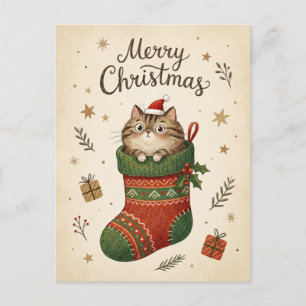 Cartão Postal Gato de Natal na Meia