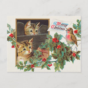Cartão Postal Gato de Natal Vintage e Baga de Azevinho