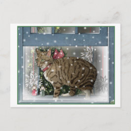 Cartão Postal Gato de Neve
