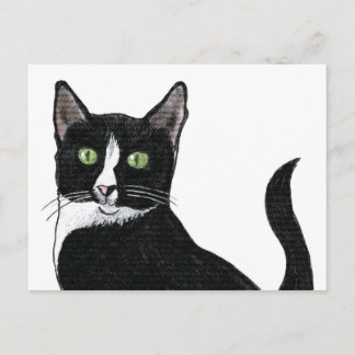 Cartão Postal Gato de Olhos Verdes Pretos e Brancos