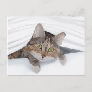 Cartão Postal Gato de Pequim