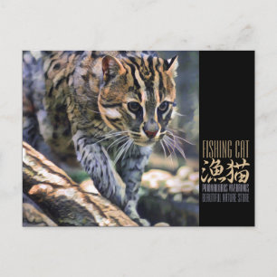 Cartão Postal Gato de Pesca [Cartão Postal]