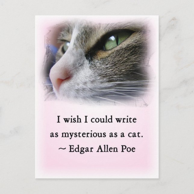 Cartão Postal Gato de Poe (Frente)