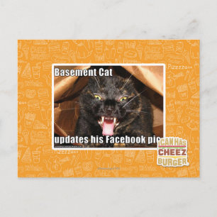 Cartão Postal Gato de porão