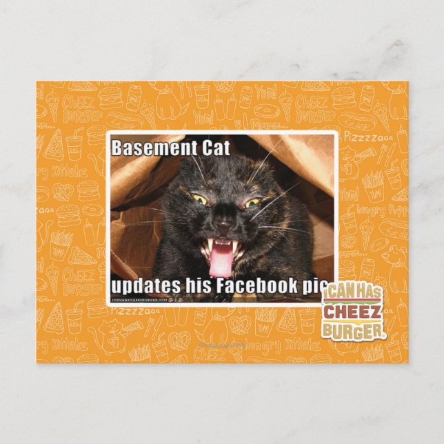 Cartão Postal Gato de porão (Frente)