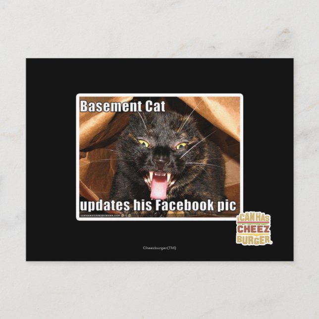 Cartão Postal Gato de porão (Frente)