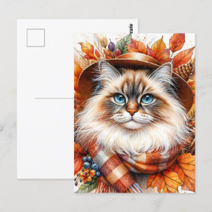 Cartão Postal Gato De Ragdolas No Outono Scarf Com Folhas De Que