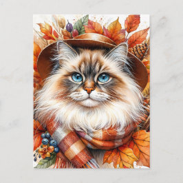 Cartão Postal Gato De Ragdolas No Outono Scarf Com Folhas De Que