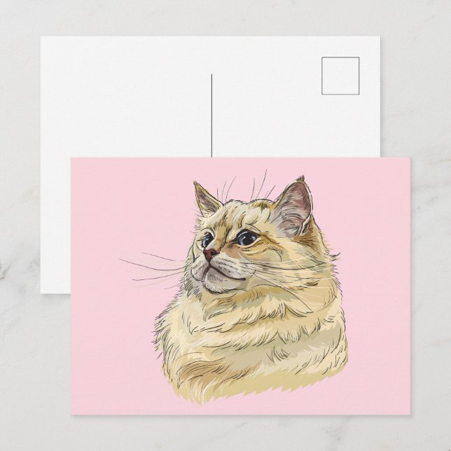 Cartão Postal Gato de Ragdoll que desenhava a mão (Frente/Verso)